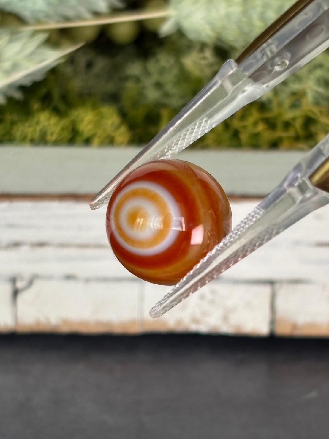 レイク・スペリオルアゲート 天眼アゲート ルース 02 天然石 | 10枚目