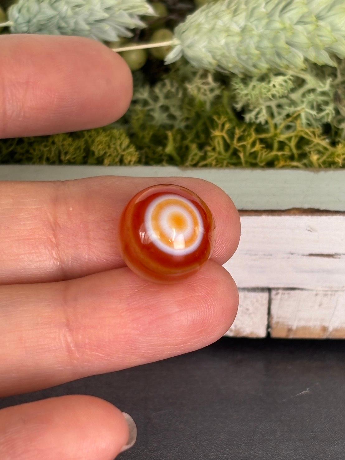 レイク・スペリオルアゲート 天眼アゲート ルース 02 天然石 | 12枚目