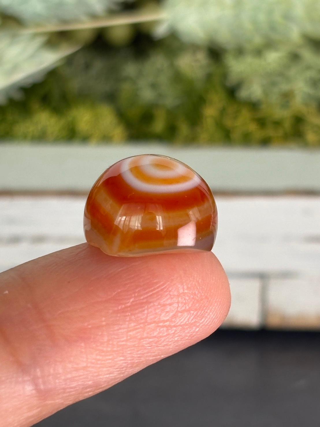 レイク・スペリオルアゲート 天眼アゲート ルース 02 天然石 | 14枚目