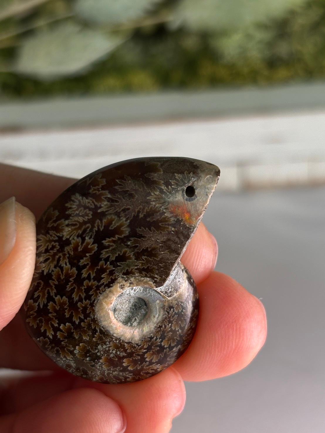 アンモナイト 化石 イリデッセンス 穴あきルース  天然石 | 10枚目