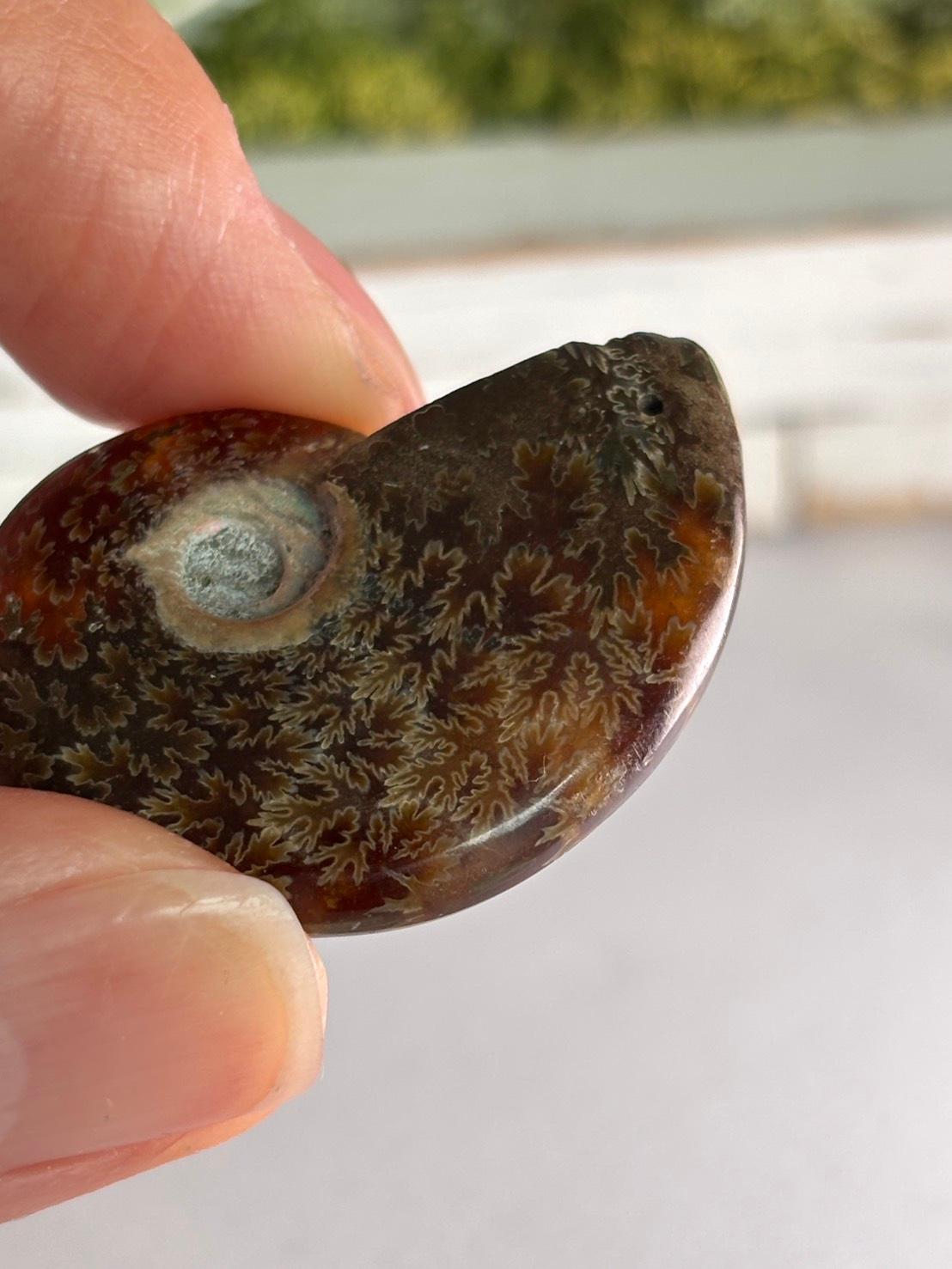 アンモナイト 化石 イリデッセンス 穴あきルース  天然石 | 13枚目