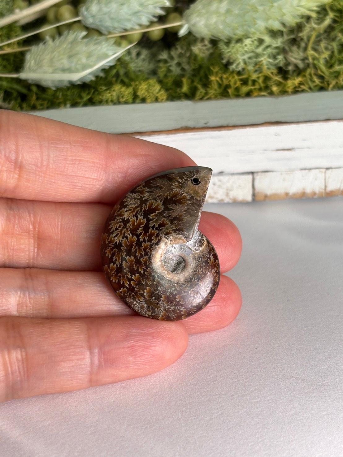 アンモナイト 化石 イリデッセンス 穴あきルース  天然石 | 4枚目