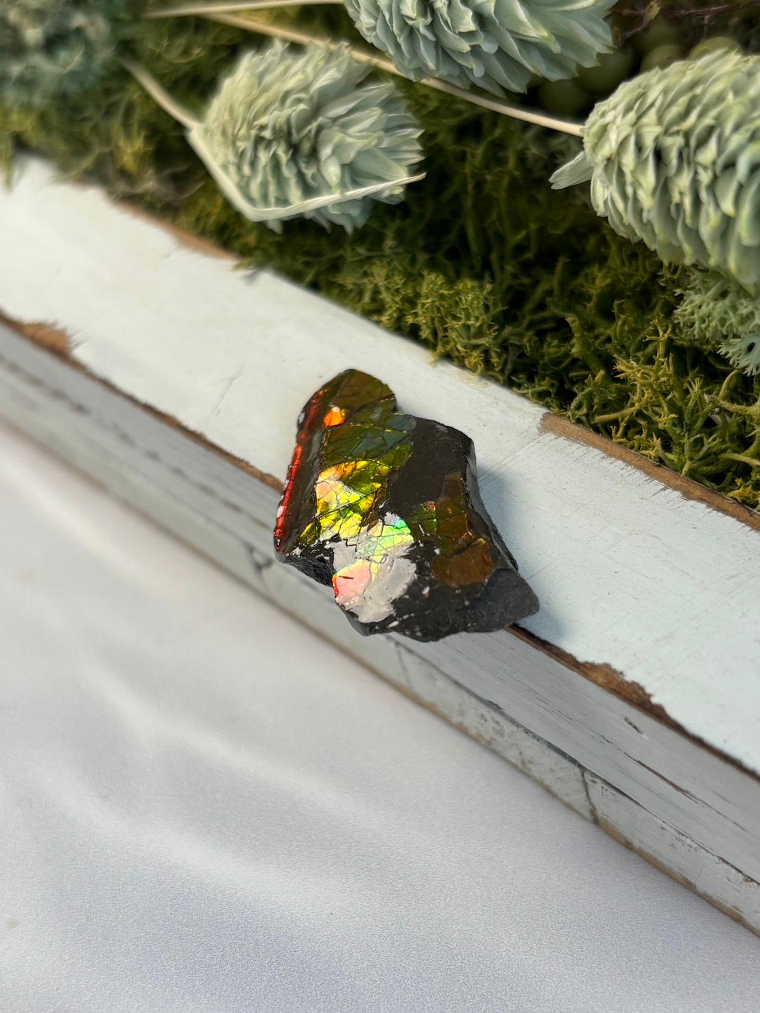 アンモライト 原石 イリデッセンス  天然石1枚目の画像