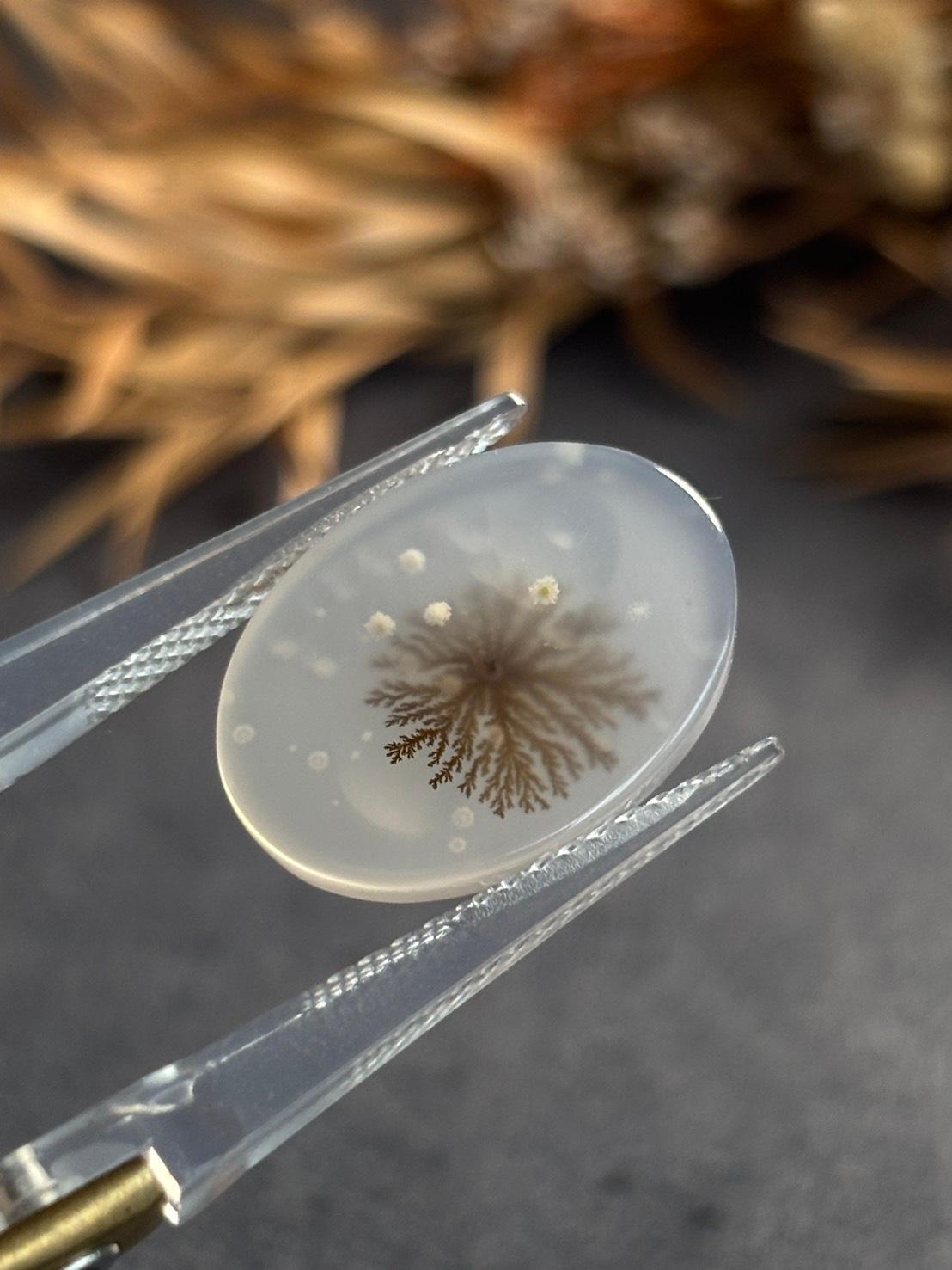 デンドリティック アゲート デンドライト ルース 60  天然石