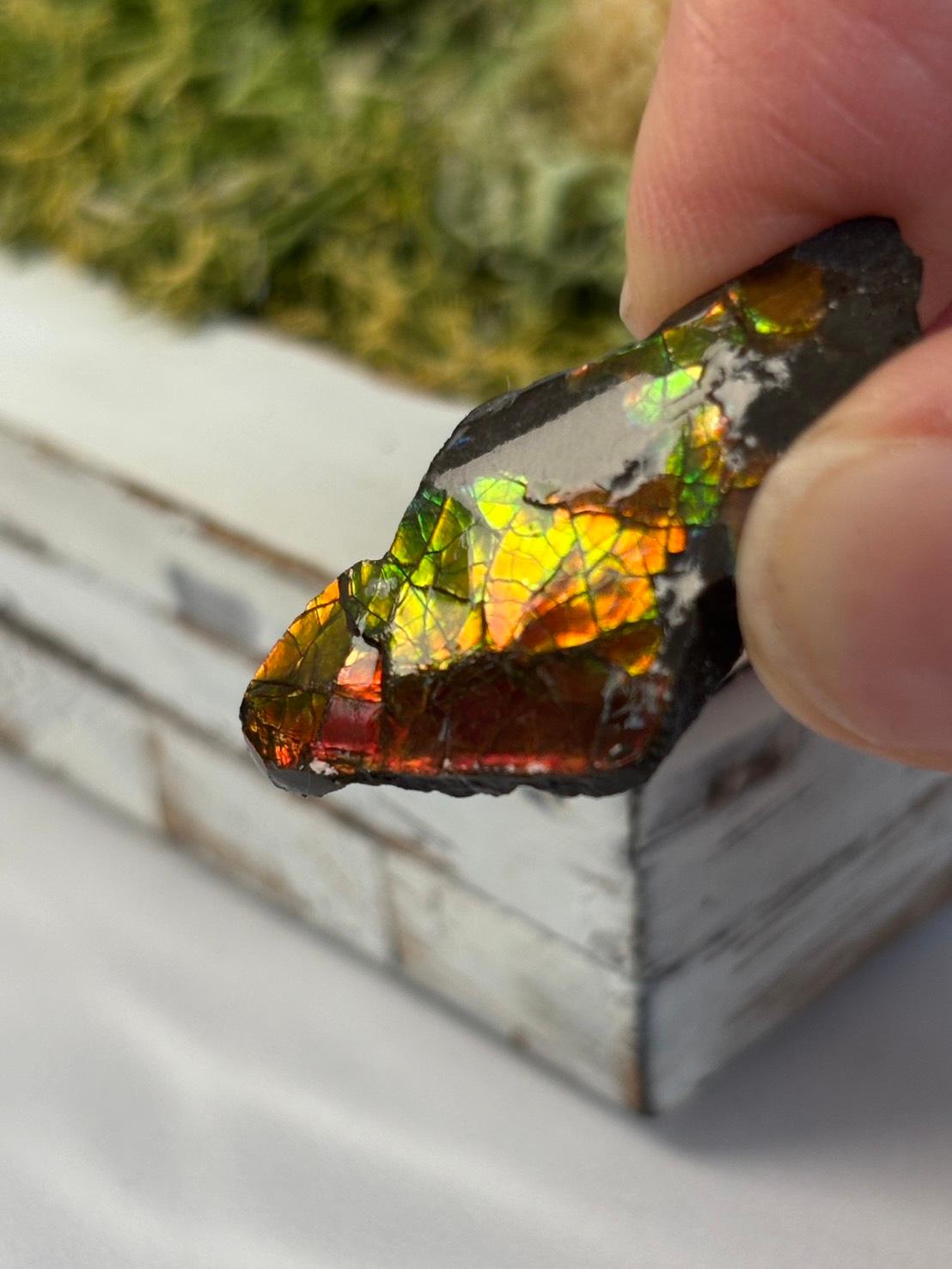 アンモライト 原石 イリデッセンス 天然石 | 10枚目