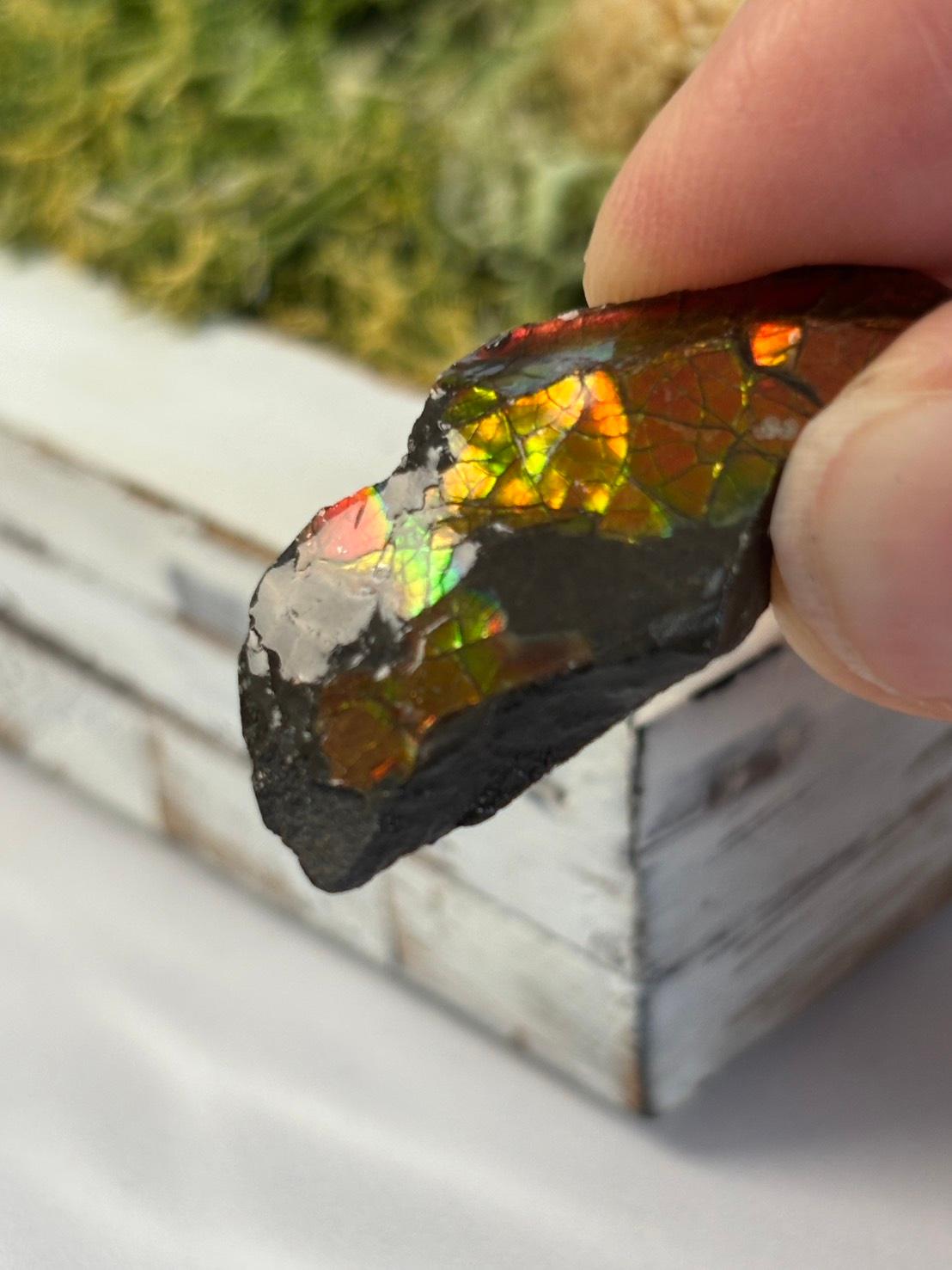 アンモライト 原石 イリデッセンス 天然石 | 11枚目