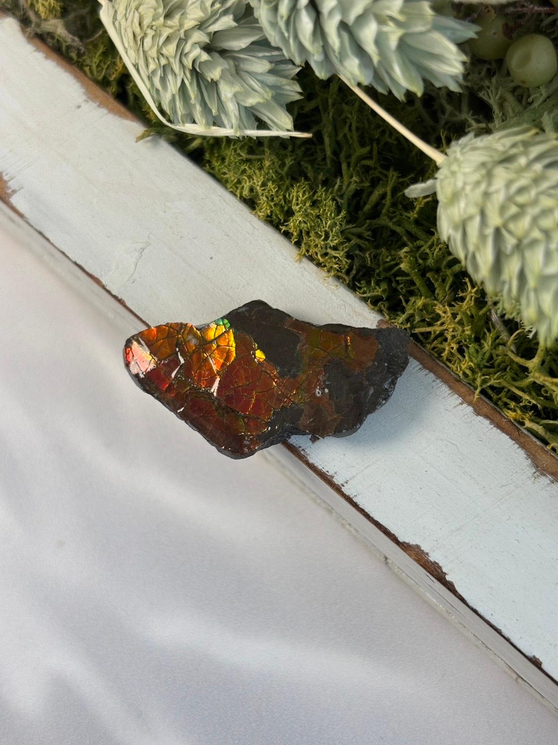 アンモライト 原石 イリデッセンス 天然石 | 13枚目