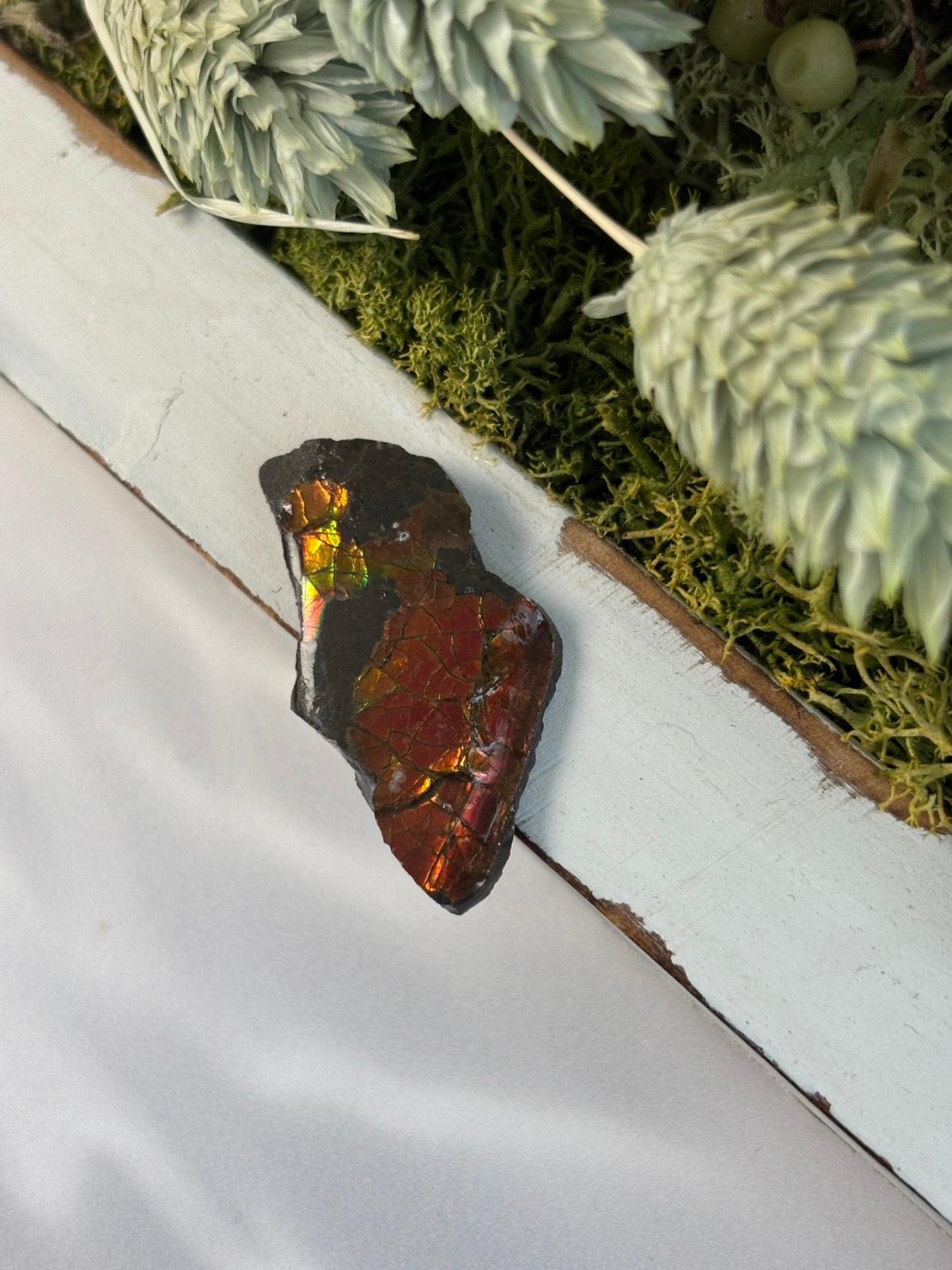 アンモライト 原石 イリデッセンス 天然石 | 14枚目