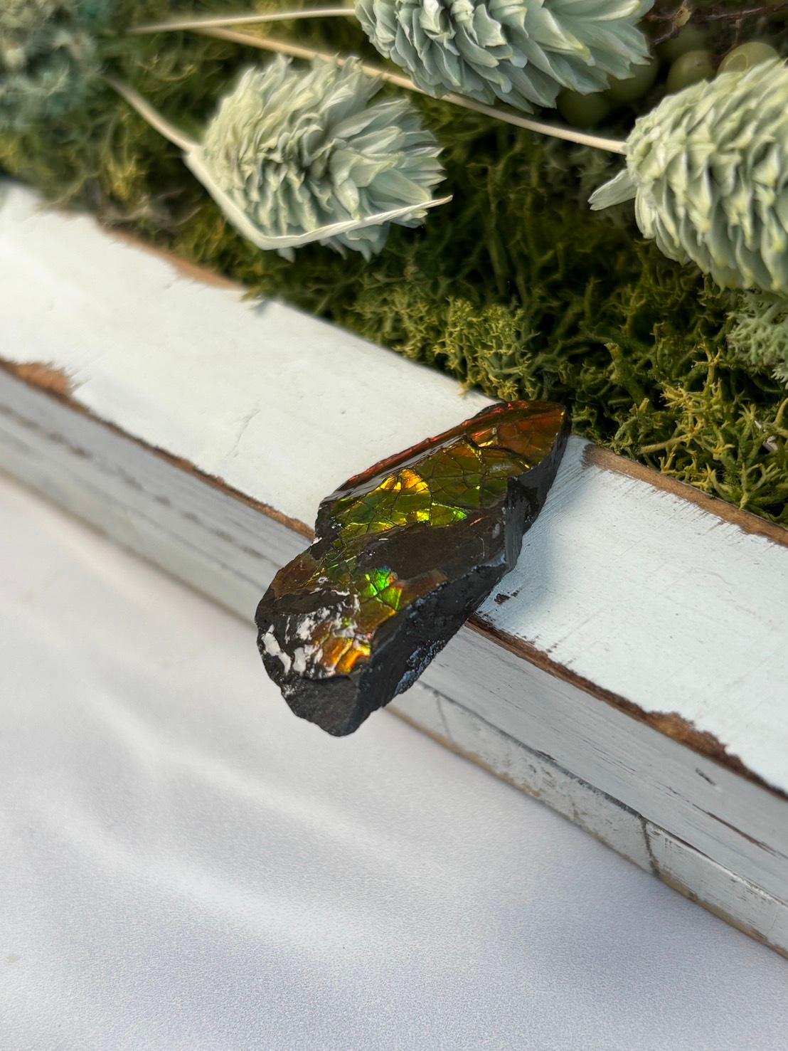 アンモライト 原石 イリデッセンス 天然石 | 15枚目