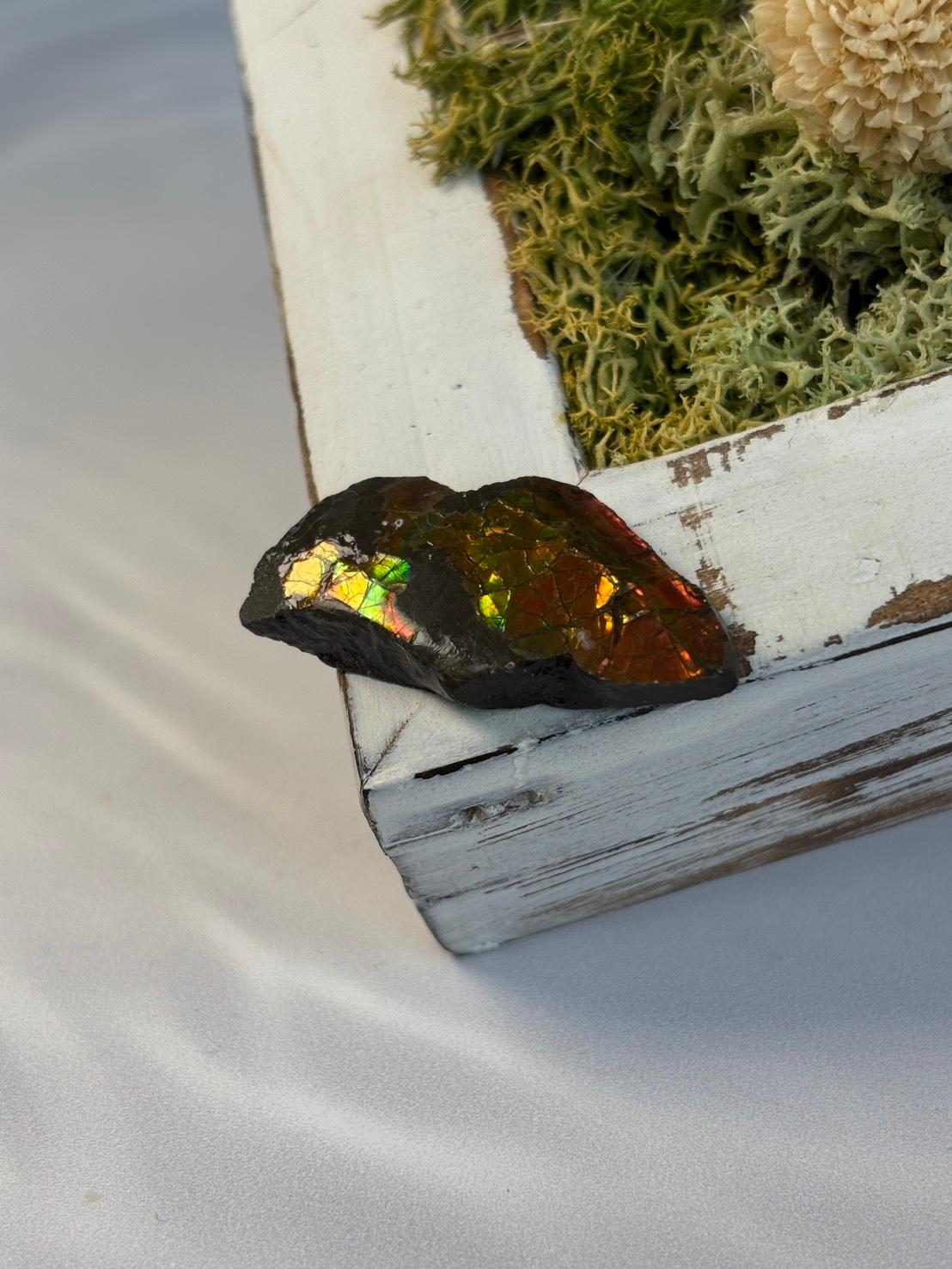 アンモライト 原石 イリデッセンス 天然石 | 16枚目