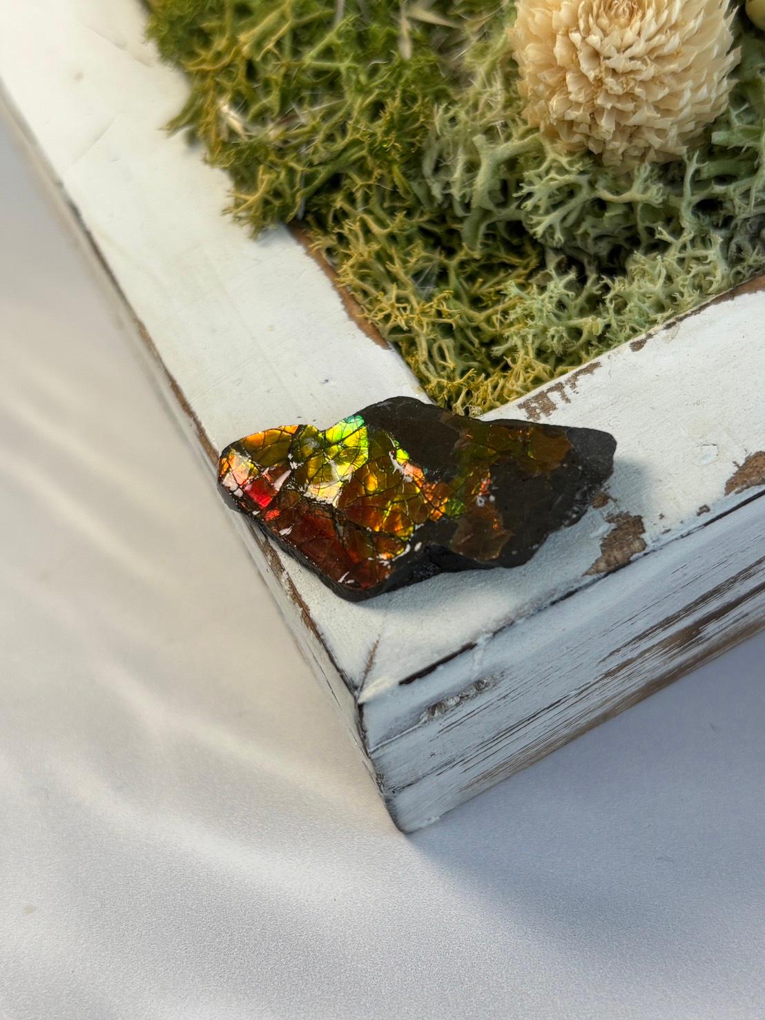 アンモライト 原石 イリデッセンス 天然石 | 2枚目