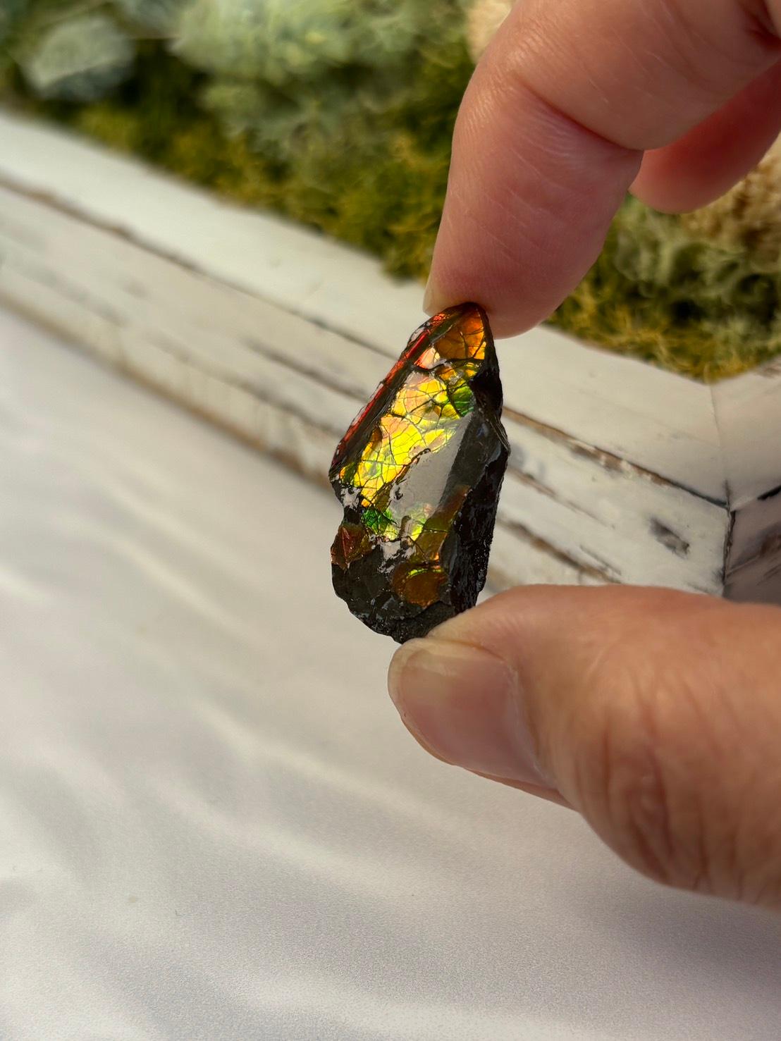 アンモライト 原石 イリデッセンス 天然石 | 4枚目