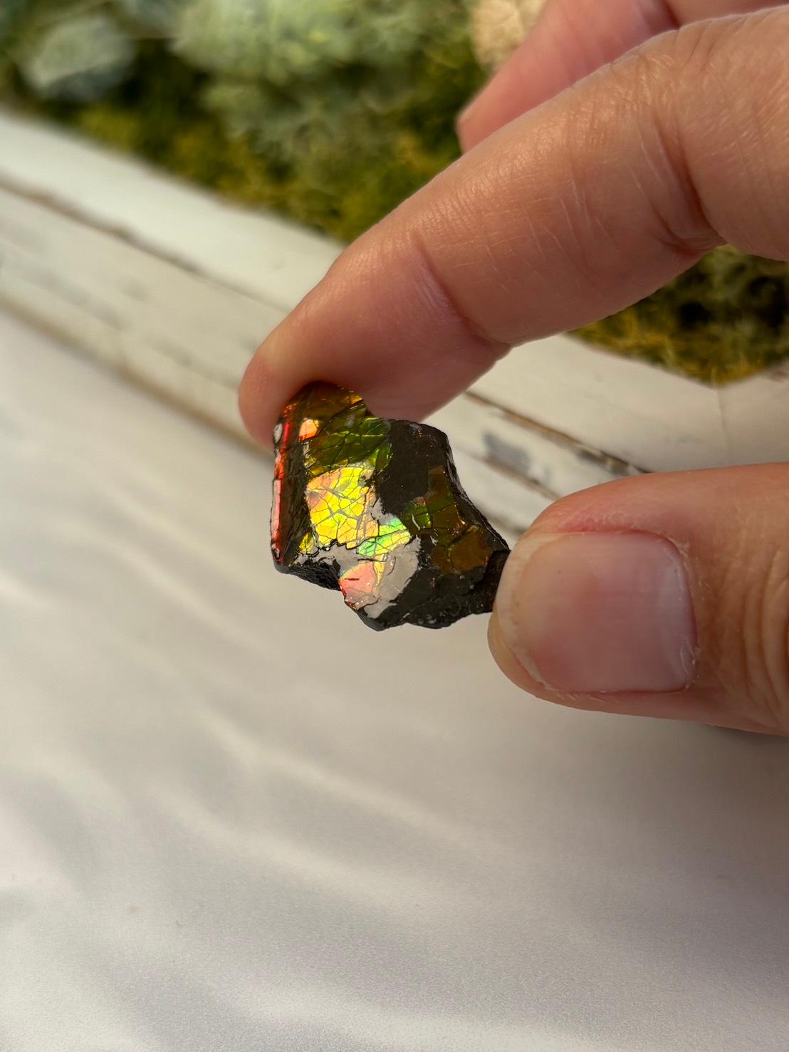 アンモライト 原石 イリデッセンス 天然石 | 5枚目