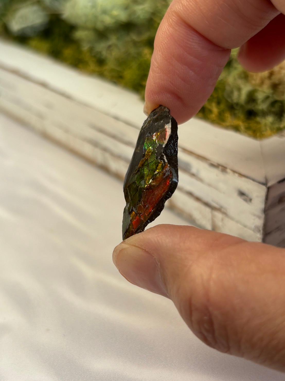 アンモライト 原石 イリデッセンス 天然石 | 6枚目