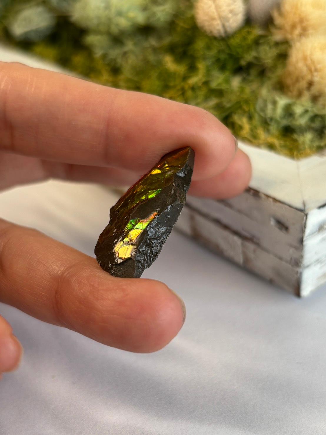 アンモライト 原石 イリデッセンス 天然石 | 7枚目