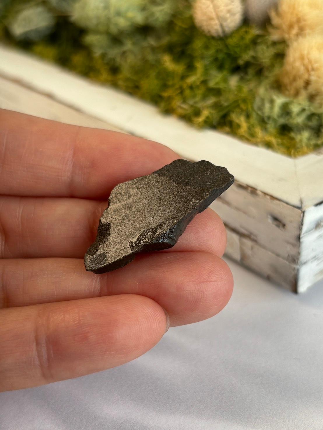 アンモライト 原石 イリデッセンス 天然石 | 8枚目