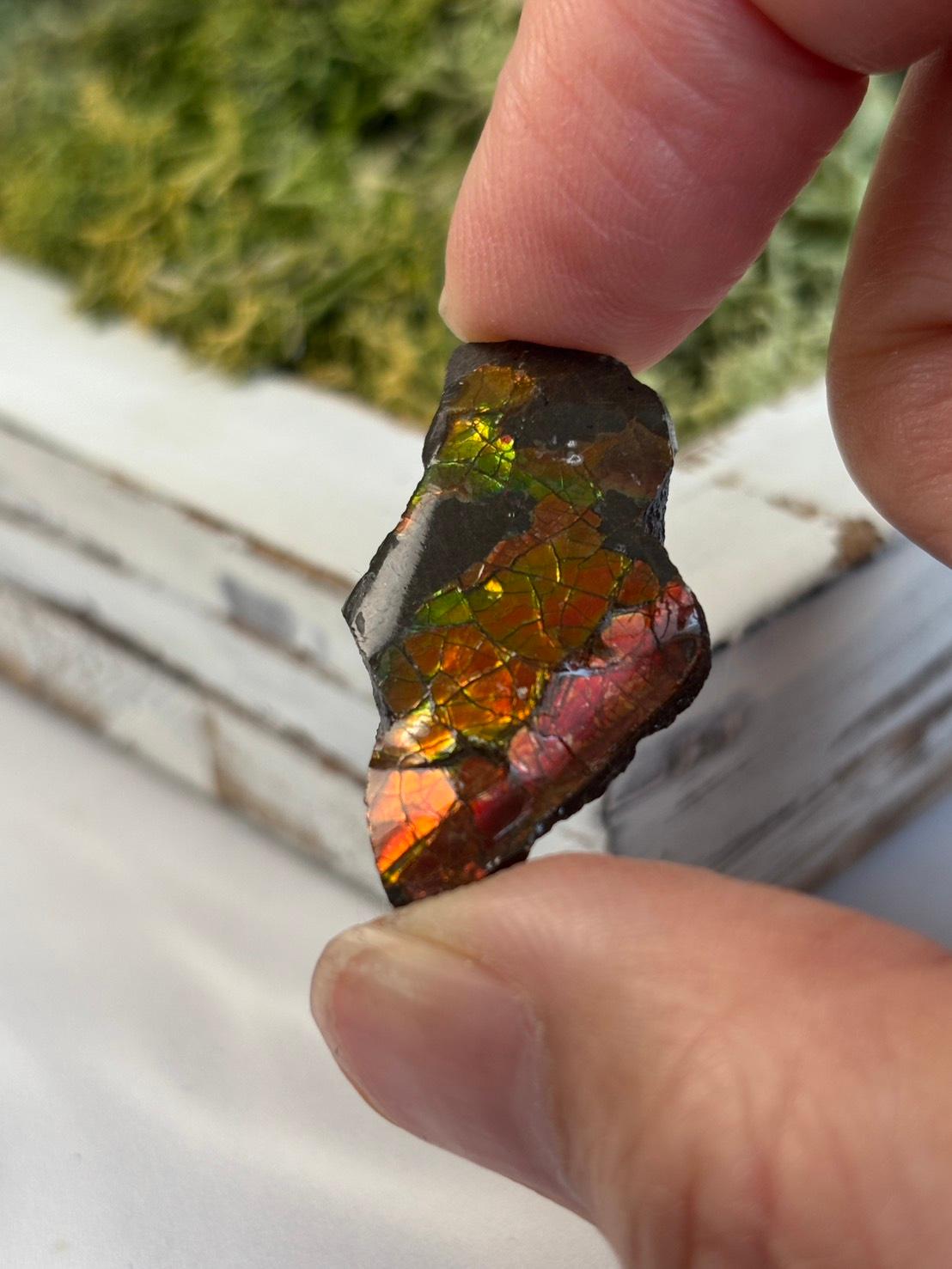 アンモライト 原石 イリデッセンス 天然石 | 9枚目