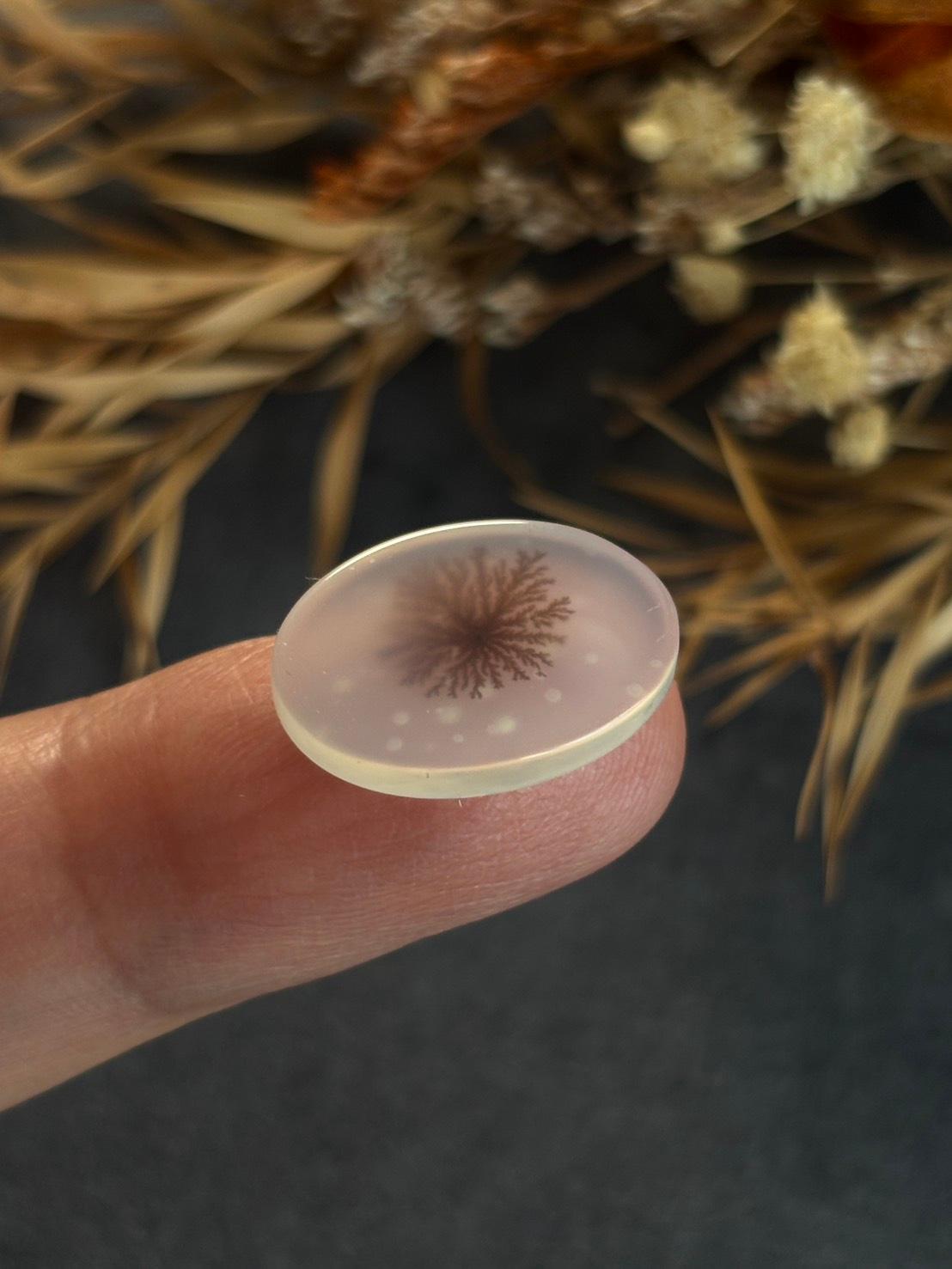 デンドリティック アゲート デンドライト ルース 60 天然石 | 10枚目