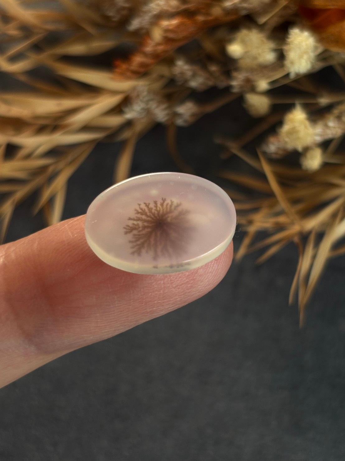 デンドリティック アゲート デンドライト ルース 60 天然石 | 11枚目