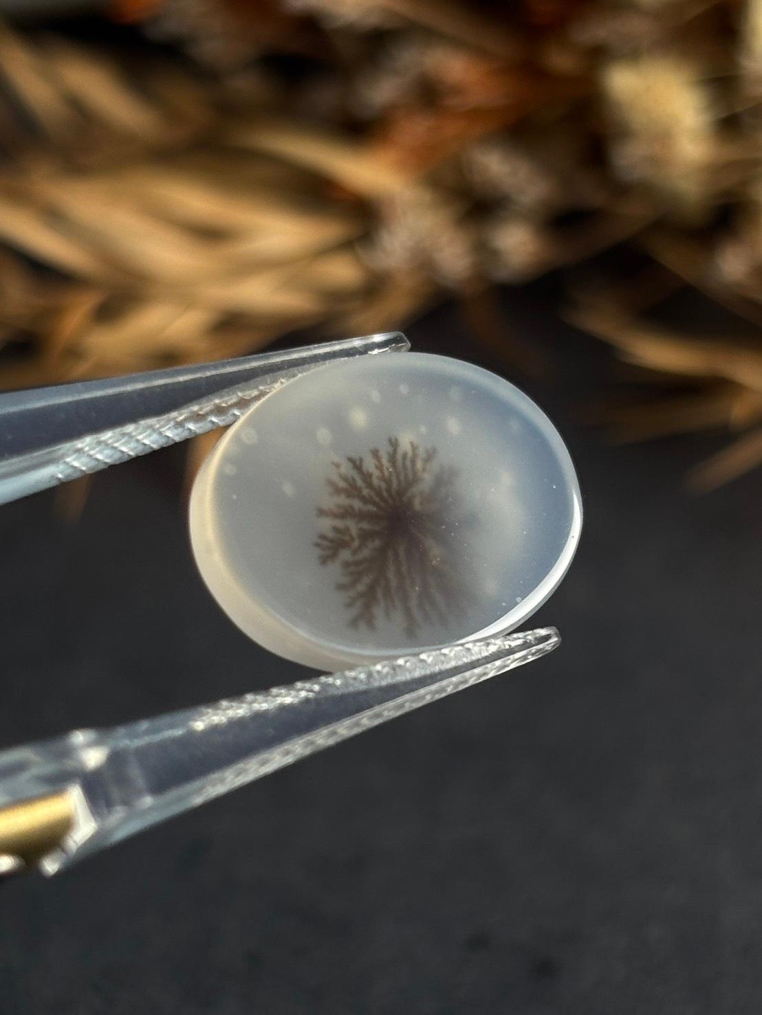 デンドリティック アゲート デンドライト ルース 60 天然石 | 12枚目