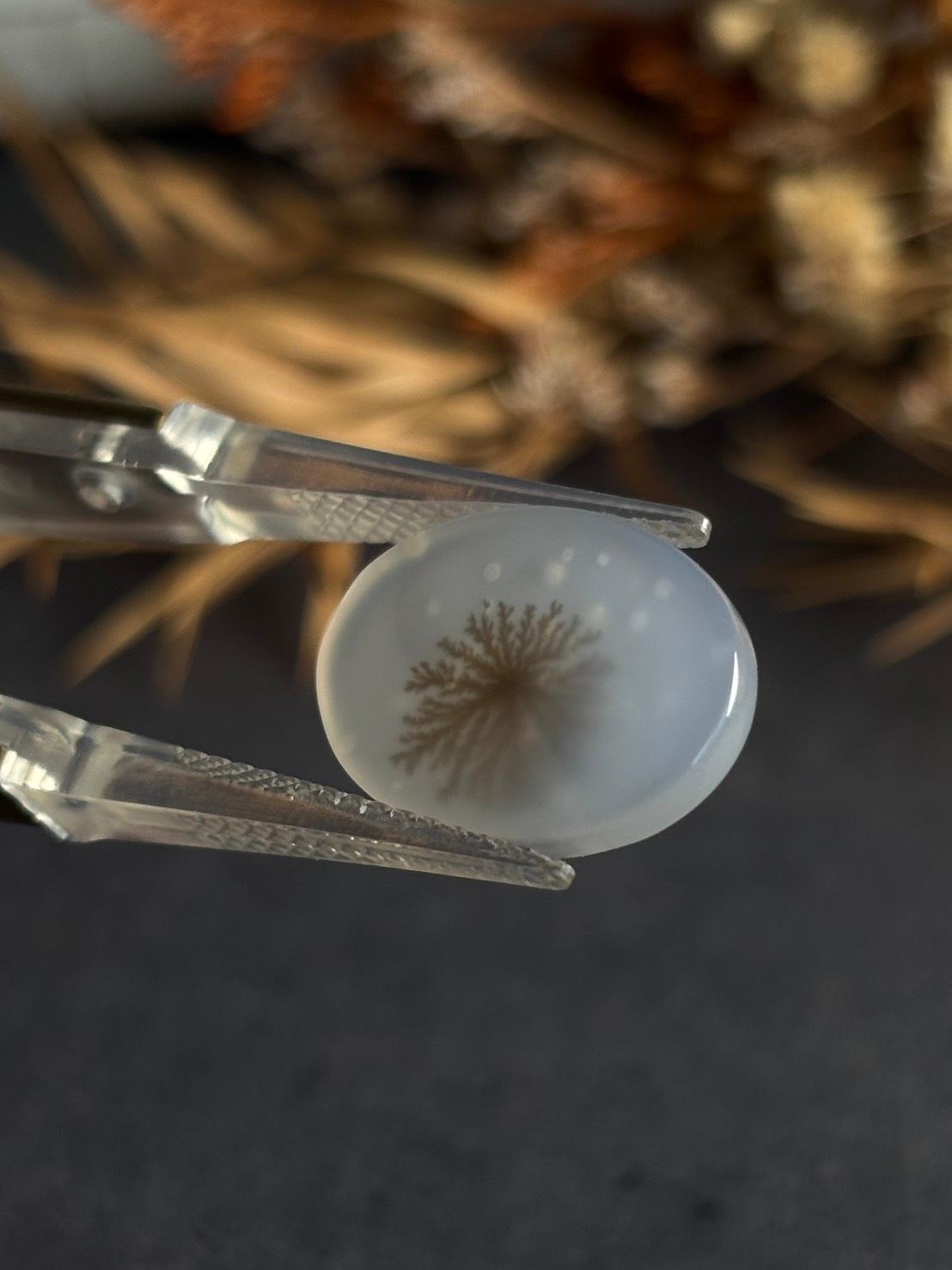 デンドリティック アゲート デンドライト ルース 60 天然石 | 13枚目