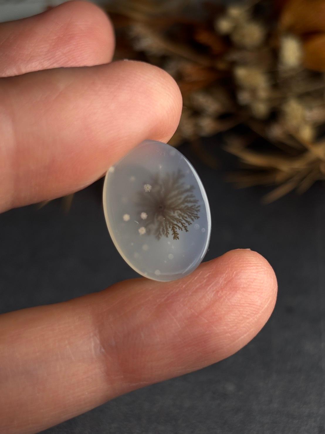 デンドリティック アゲート デンドライト ルース 60 天然石 | 15枚目