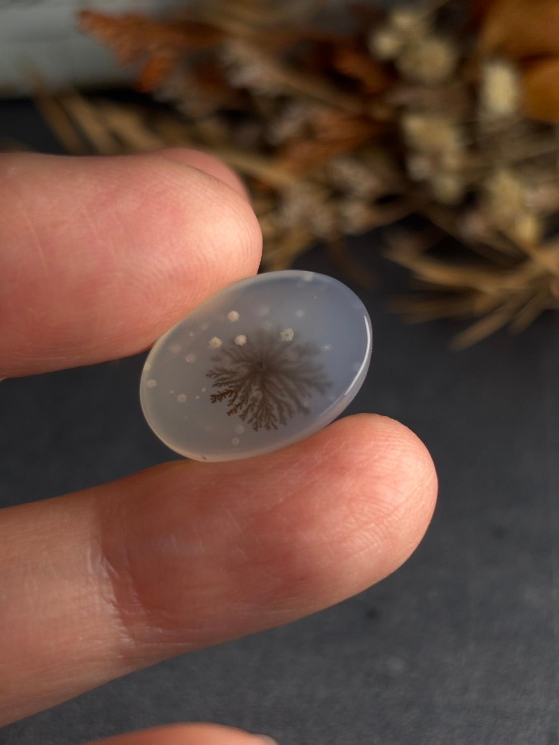 デンドリティック アゲート デンドライト ルース 60 天然石 | 16枚目