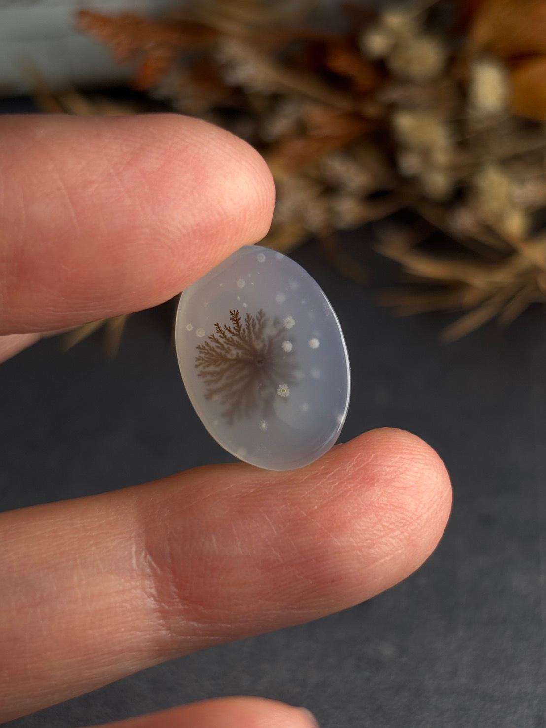 デンドリティック アゲート デンドライト ルース 60 天然石 | 17枚目