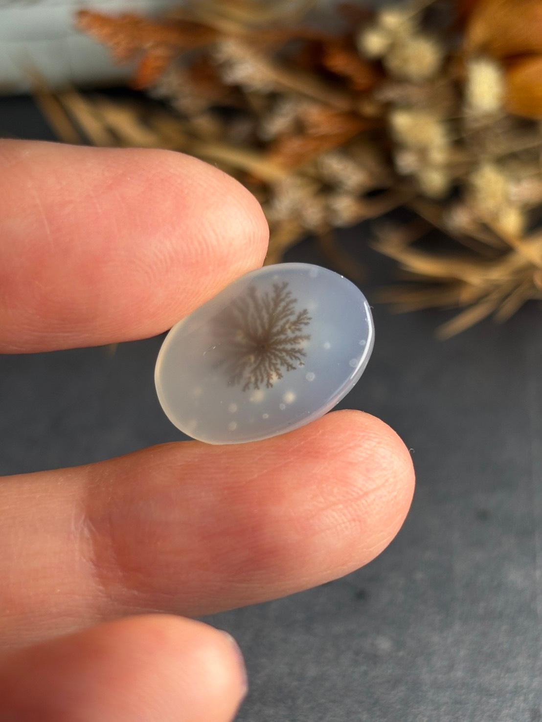 デンドリティック アゲート デンドライト ルース 60 天然石 | 18枚目