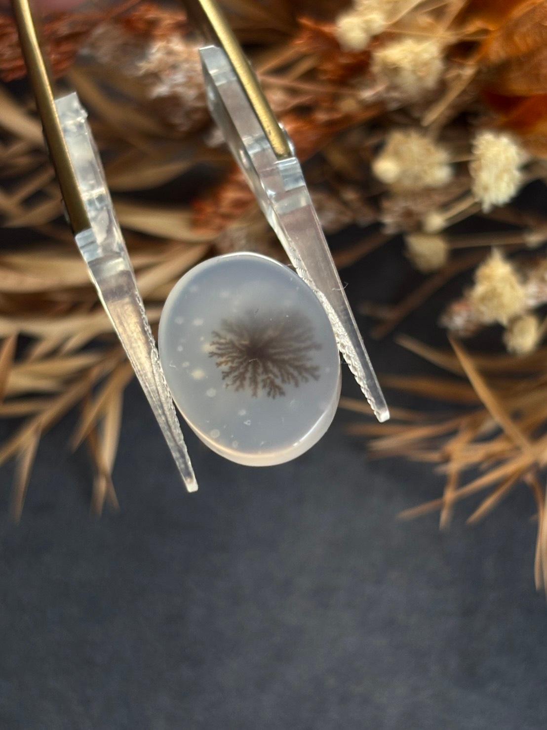 デンドリティック アゲート デンドライト ルース 60 天然石 | 19枚目