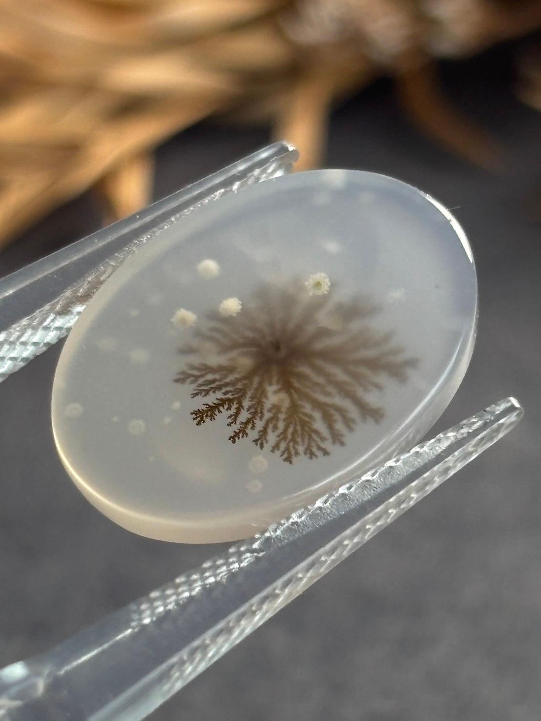 デンドリティック アゲート デンドライト ルース 60 天然石 | 2枚目