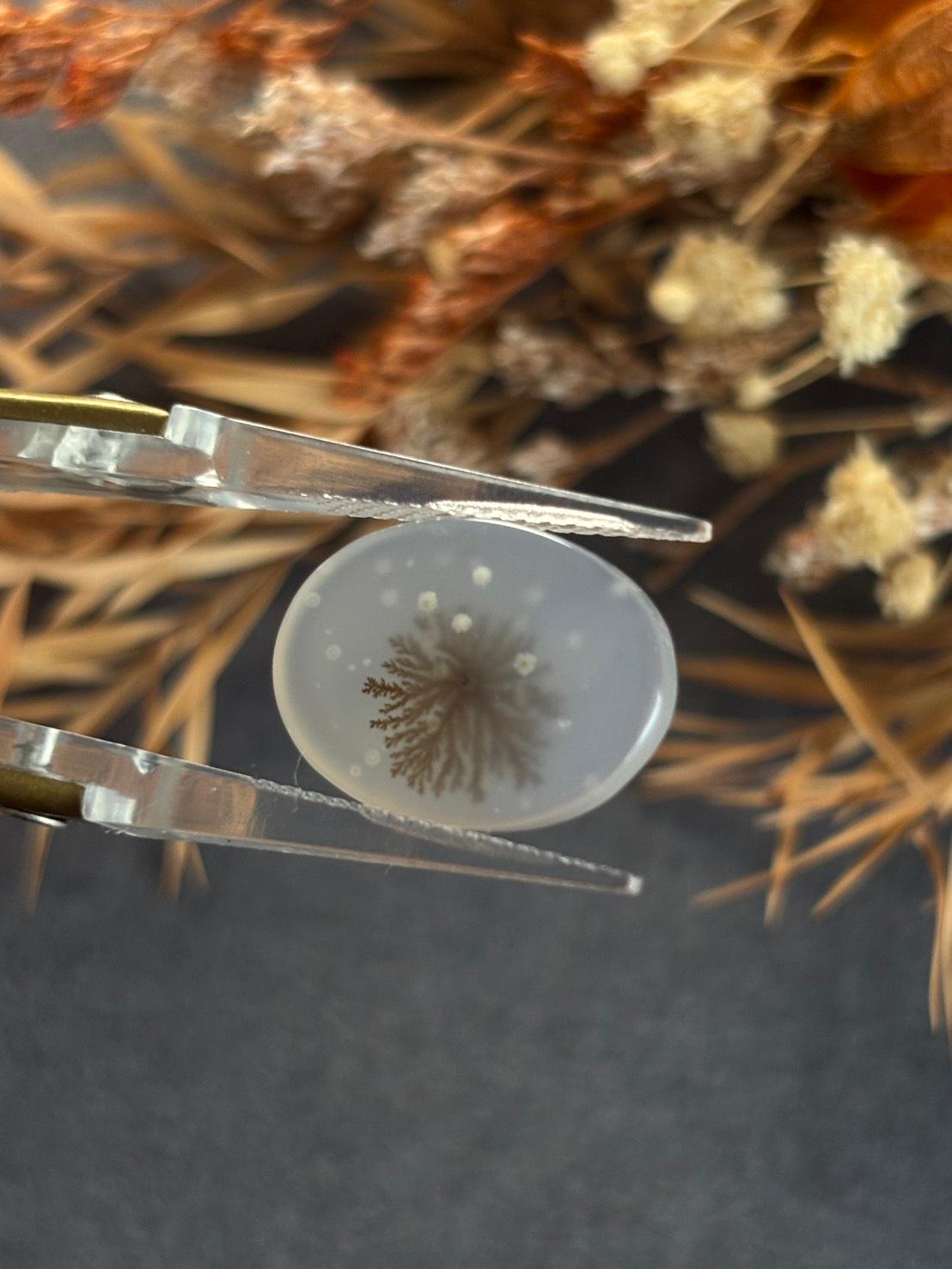 デンドリティック アゲート デンドライト ルース 60 天然石 | 20枚目