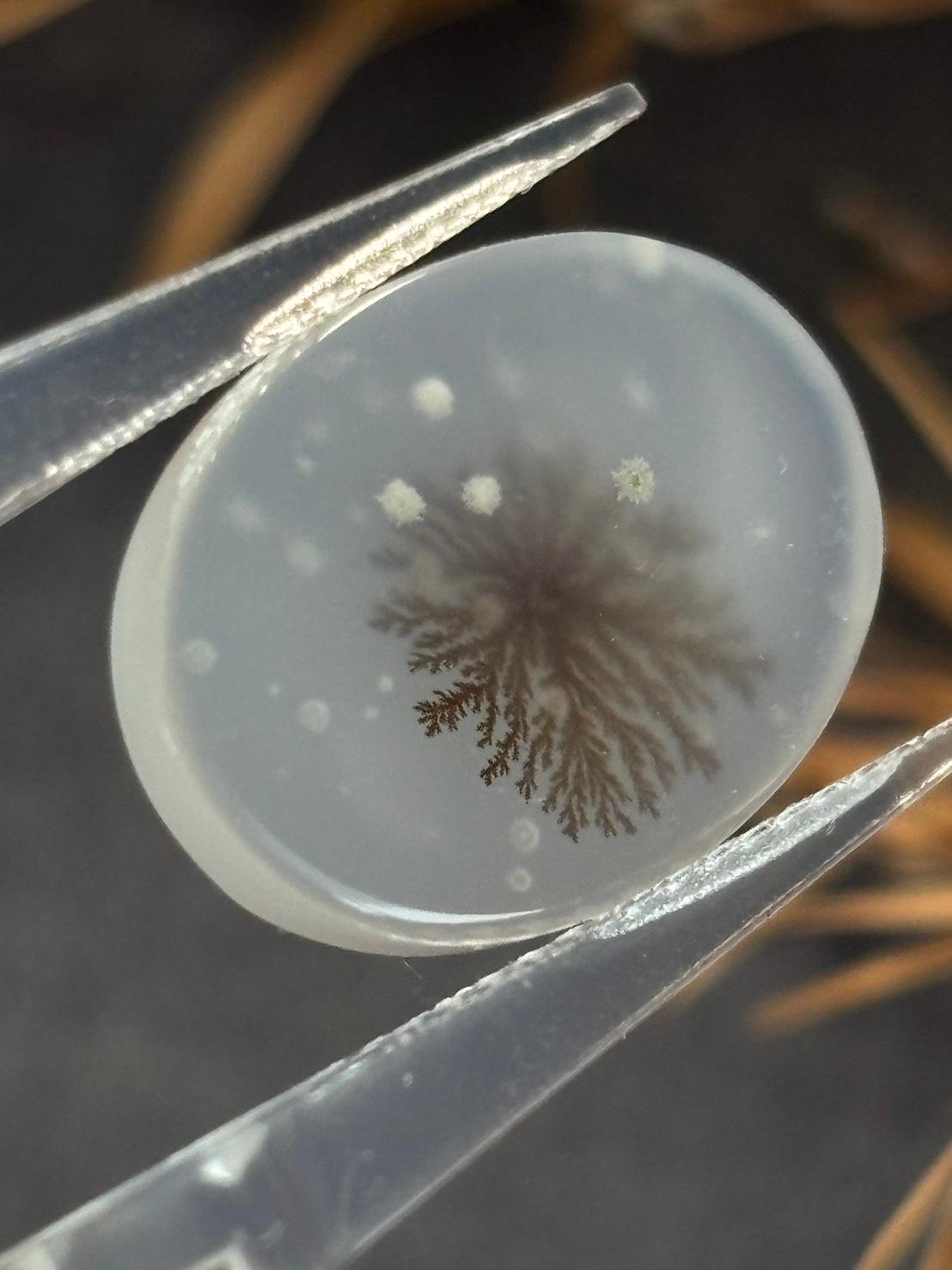 デンドリティック アゲート デンドライト ルース 60 天然石 | 5枚目