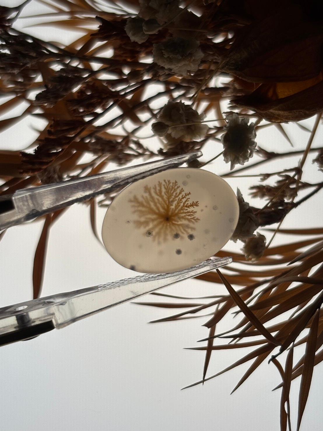 デンドリティック アゲート デンドライト ルース 60 天然石 | 6枚目