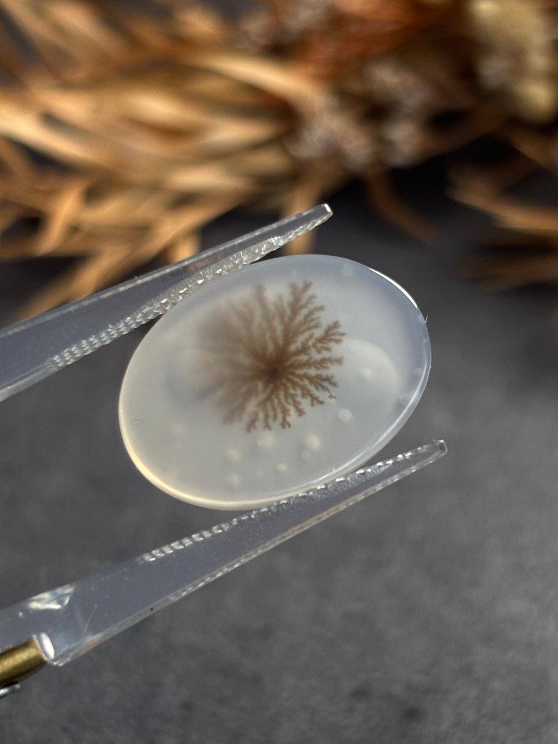 デンドリティック アゲート デンドライト ルース 60 天然石 | 7枚目