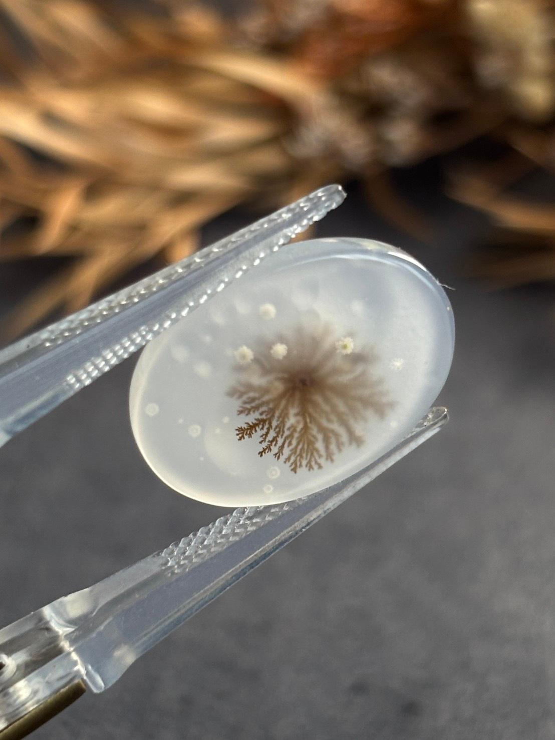 デンドリティック アゲート デンドライト ルース 60 天然石 | 8枚目