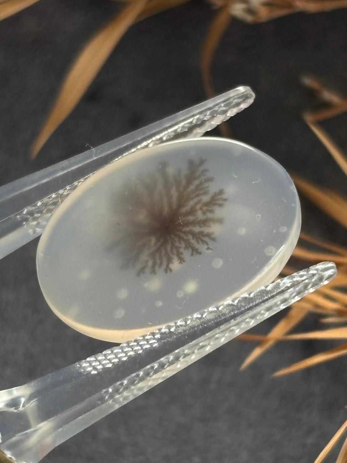 デンドリティック アゲート デンドライト ルース 60 天然石 | 9枚目